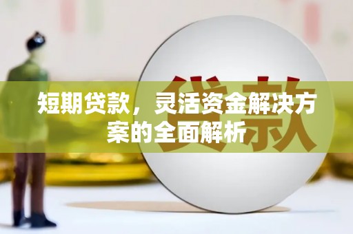 中卫短期贷款，灵活资金解决方案的全面解析