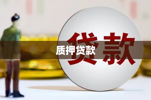 中卫质押贷款