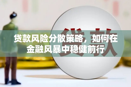 中卫贷款风险分散策略，如何在金融风暴中稳健前行