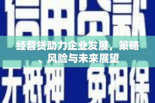 中卫经营贷助力企业发展，策略、风险与未来展望