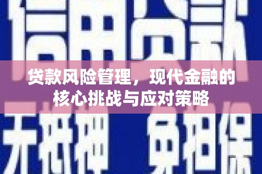 中卫贷款风险管理，现代金融的核心挑战与应对策略