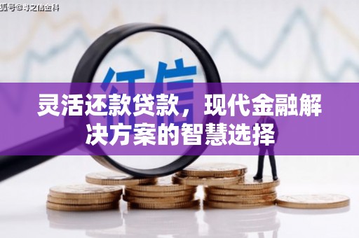 中卫灵活还款贷款，现代金融解决方案的智慧选择