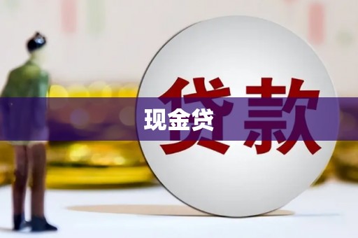 中卫现金贷
