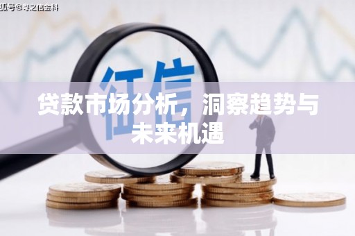 中卫贷款市场分析，洞察趋势与未来机遇