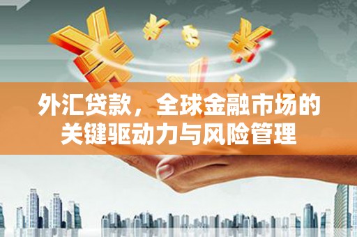 中卫外汇贷款，全球金融市场的关键驱动力与风险管理