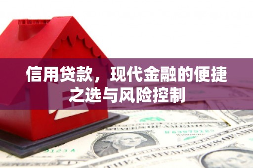 中卫信用贷款，现代金融的便捷之选与风险控制