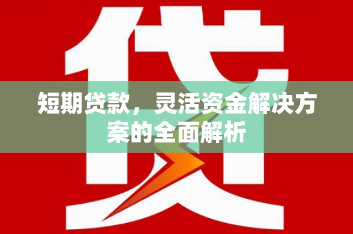 中卫短期贷款，灵活资金解决方案的全面解析