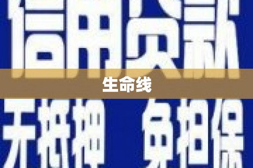 中卫生命线