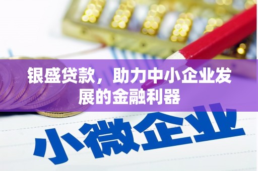 中卫银盛贷款，助力中小企业发展的金融利器