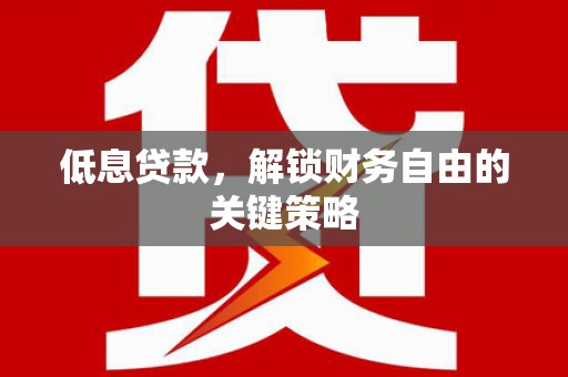 中卫低息贷款，解锁财务自由的关键策略