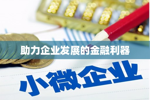 中卫助力企业发展的金融利器
