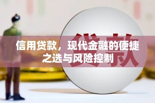中卫信用贷款，现代金融的便捷之选与风险控制