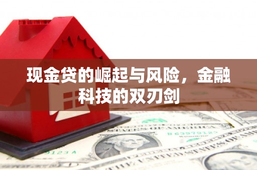 中卫现金贷的崛起与风险，金融科技的双刃剑
