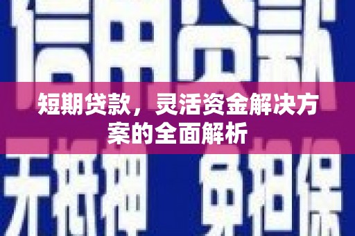 中卫短期贷款，灵活资金解决方案的全面解析