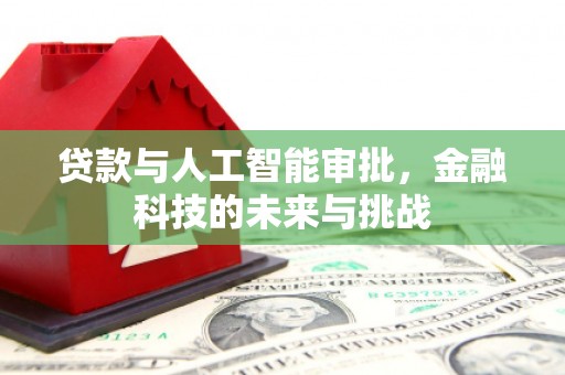 中卫贷款与人工智能审批，金融科技的未来与挑战