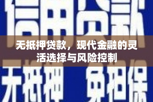 中卫无抵押贷款，现代金融的灵活选择与风险控制