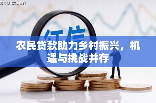 中卫农民贷款助力乡村振兴，机遇与挑战并存