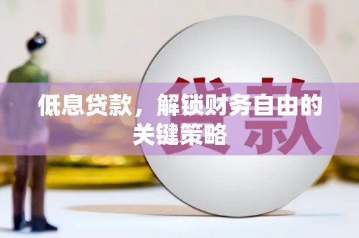 中卫低息贷款，解锁财务自由的关键策略