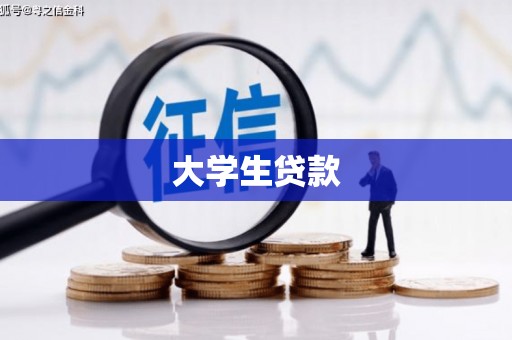 中卫大学生贷款