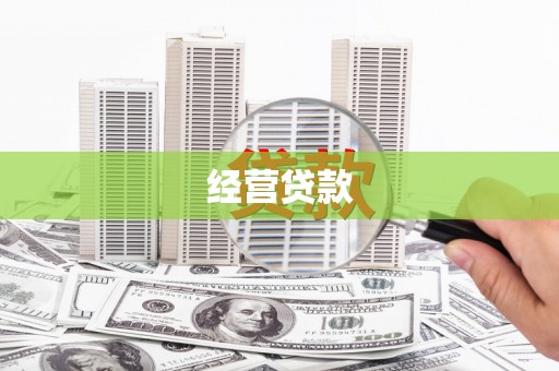 中卫经营贷款