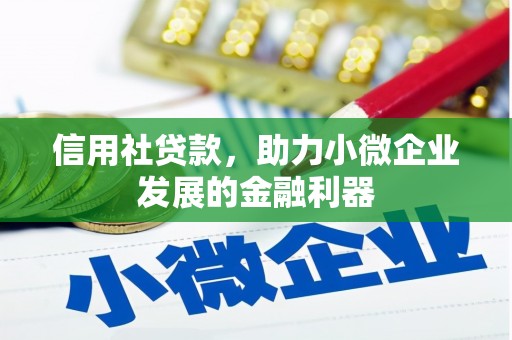 中卫信用社贷款，助力小微企业发展的金融利器