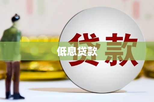 中卫低息贷款