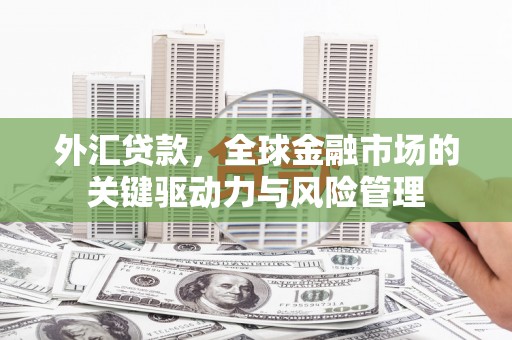 中卫外汇贷款，全球金融市场的关键驱动力与风险管理