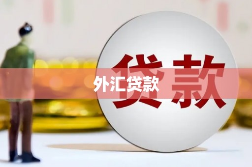中卫外汇贷款