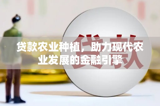 中卫贷款农业种植，助力现代农业发展的金融引擎