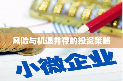 中卫风险与机遇并存的投资策略