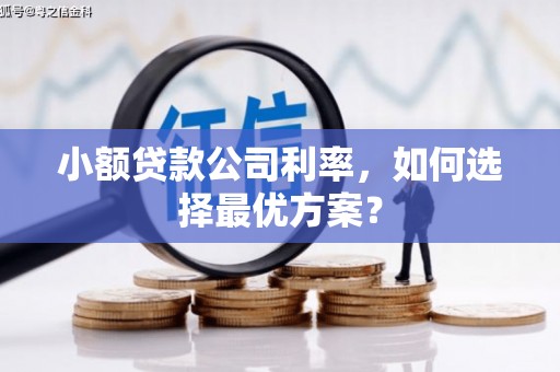 中卫小额贷款公司利率，如何选择最优方案？