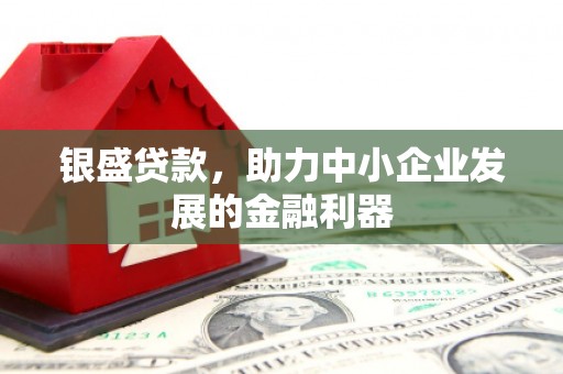 中卫银盛贷款，助力中小企业发展的金融利器