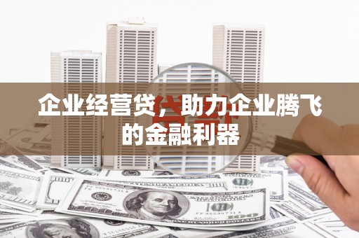 中卫企业经营贷，助力企业腾飞的金融利器