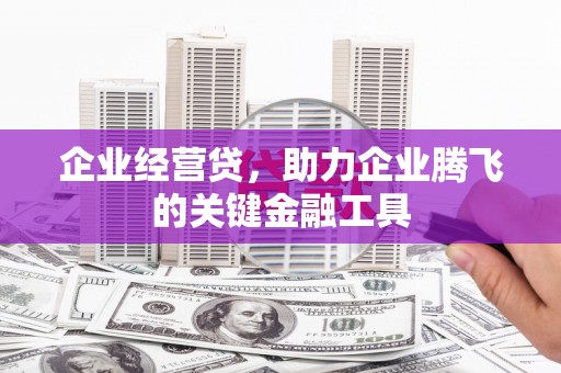 中卫企业经营贷，助力企业腾飞的关键金融工具