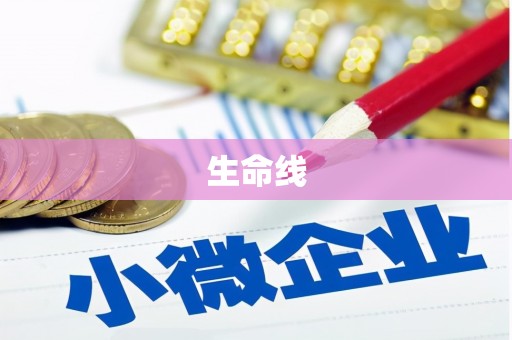 中卫生命线