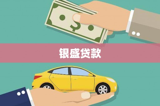 中卫银盛贷款