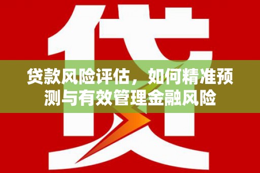 中卫贷款风险评估，如何精准预测与有效管理金融风险