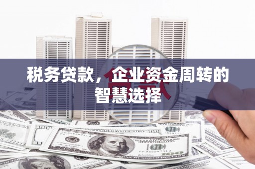 中卫税务贷款，企业资金周转的智慧选择