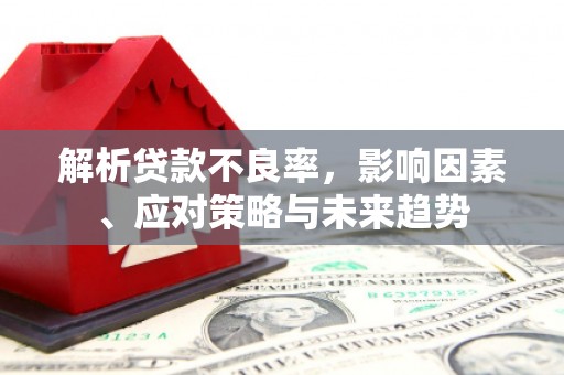 中卫解析贷款不良率，影响因素、应对策略与未来趋势
