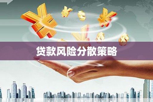 中卫贷款风险分散策略