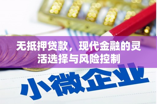 中卫无抵押贷款，现代金融的灵活选择与风险控制