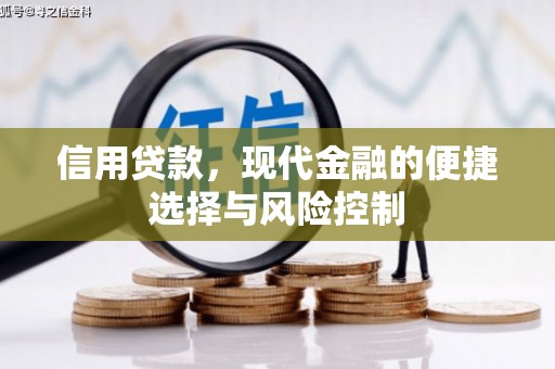 中卫信用贷款，现代金融的便捷选择与风险控制