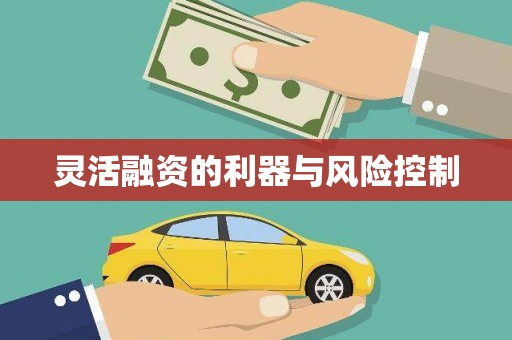 中卫灵活融资的利器与风险控制