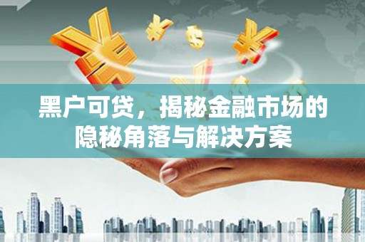 中卫黑户可贷，揭秘金融市场的隐秘角落与解决方案