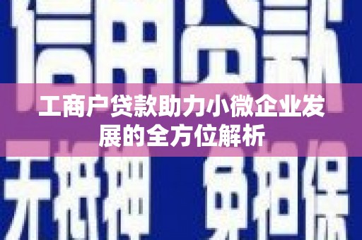 中卫工商户贷款助力小微企业发展的全方位解析