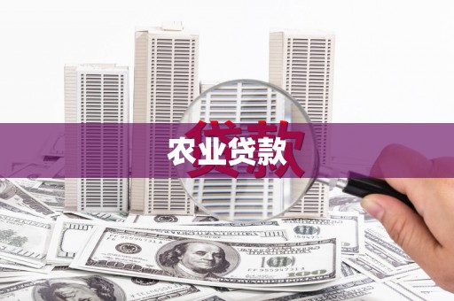 中卫农业贷款