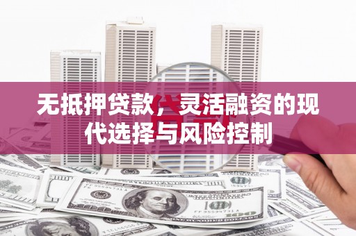中卫无抵押贷款，灵活融资的现代选择与风险控制