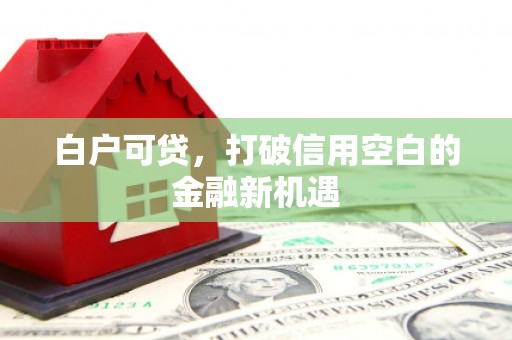 中卫白户可贷，打破信用空白的金融新机遇