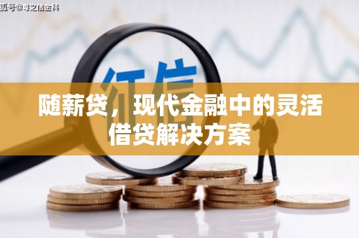 中卫随薪贷，现代金融中的灵活借贷解决方案
