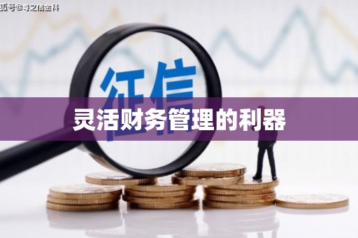中卫灵活财务管理的利器